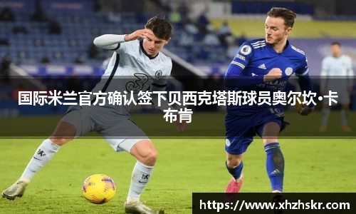 美嘉体育平台