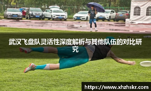 美嘉体育下载