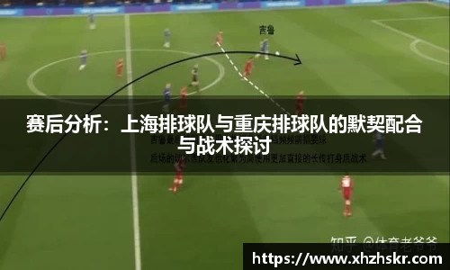 美嘉体育下载