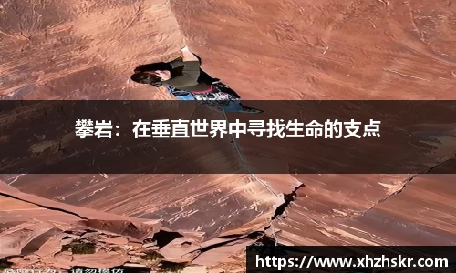 美嘉体育官网