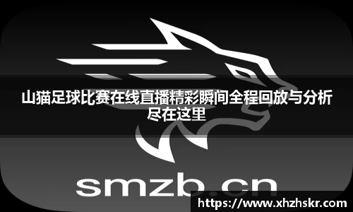 山猫足球比赛在线直播精彩瞬间全程回放与分析尽在这里