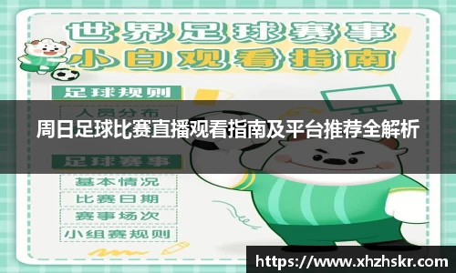 周日足球比赛直播观看指南及平台推荐全解析