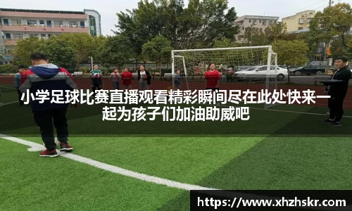 美嘉体育平台