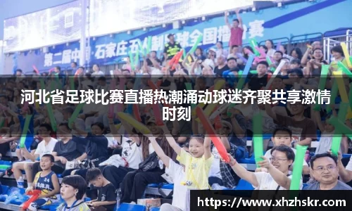 河北省足球比赛直播热潮涌动球迷齐聚共享激情时刻