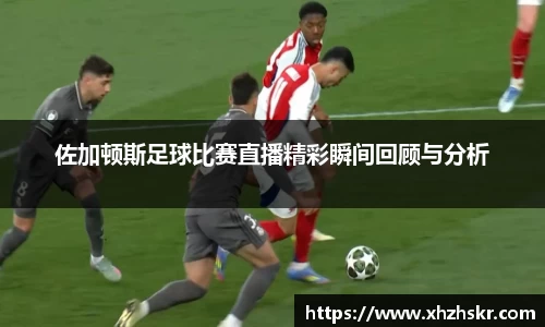 美嘉体育平台