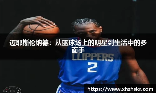 美嘉体育下载